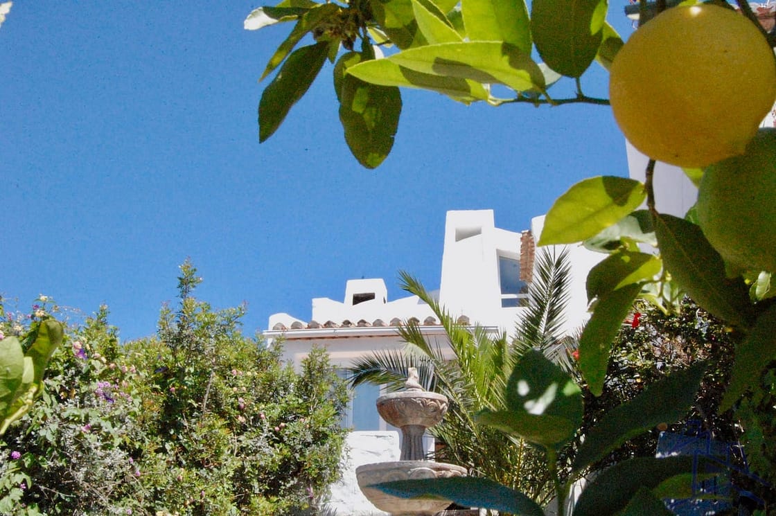 Blick aus Garten-small